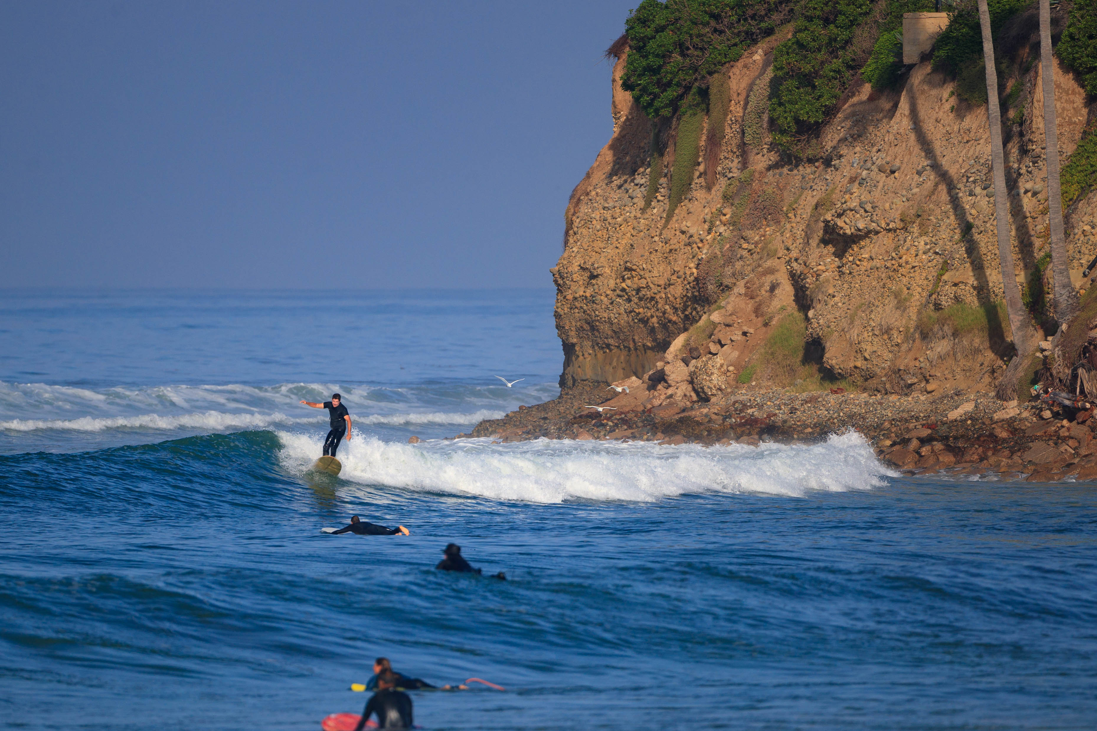 The Importance of Backdrop | Water Clicker Photo Blog