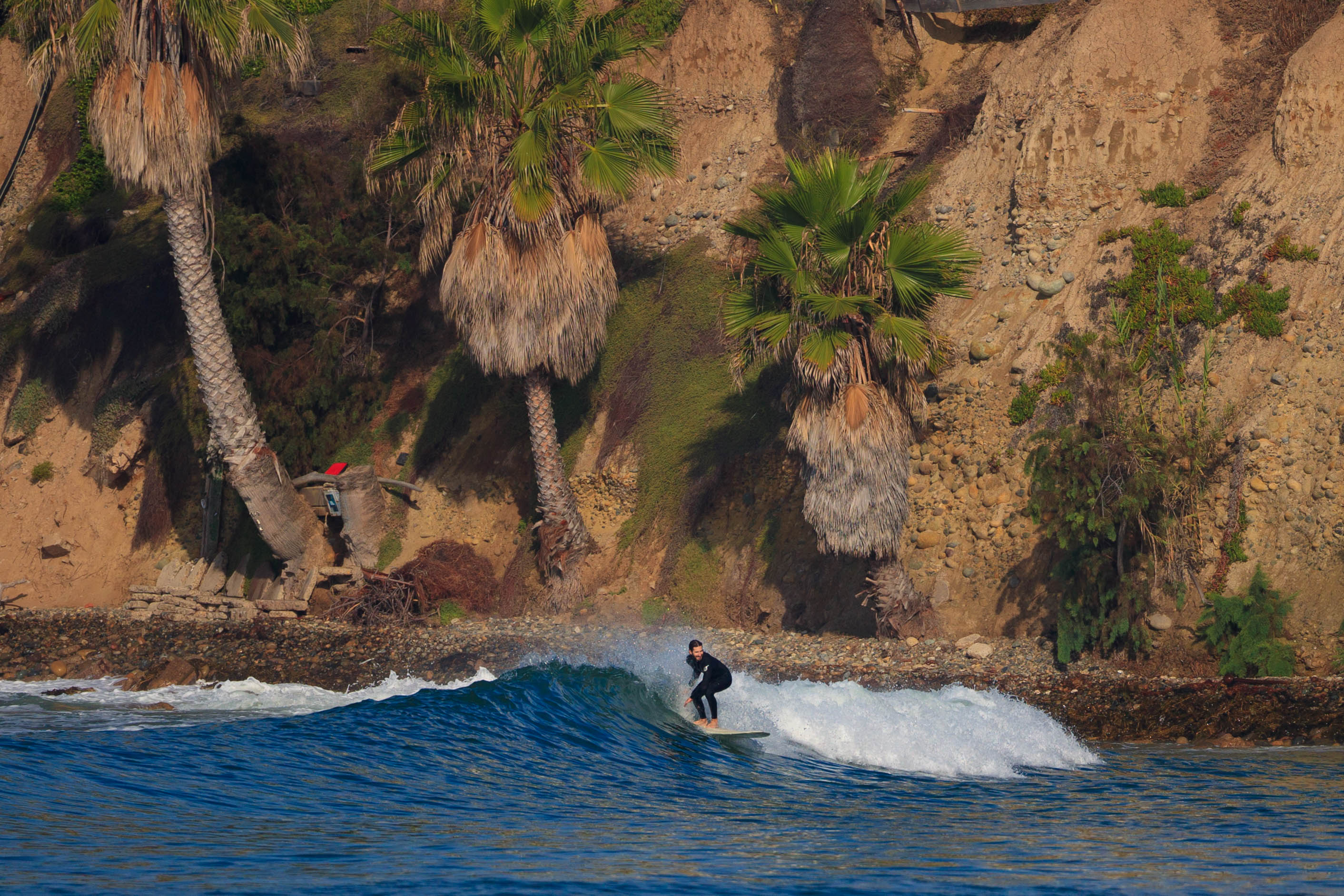The Importance of Backdrop | Water Clicker Photo Blog